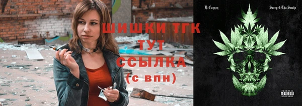 спиды Пестово