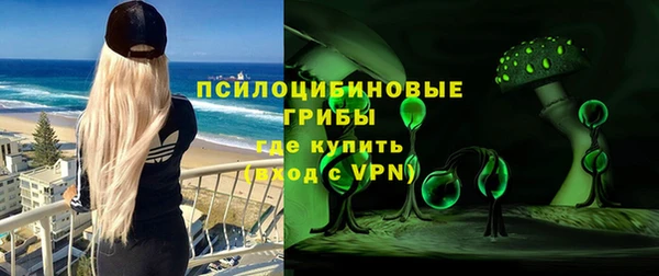 крисы Пересвет