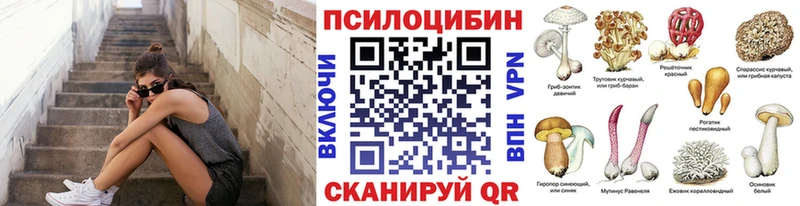 Купить где  Яровое  Псилоцибиновые грибы мицелий 