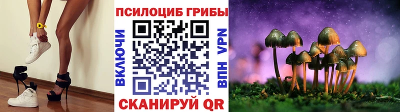 Псилоцибиновые грибы MAGIC MUSHROOMS Яровое